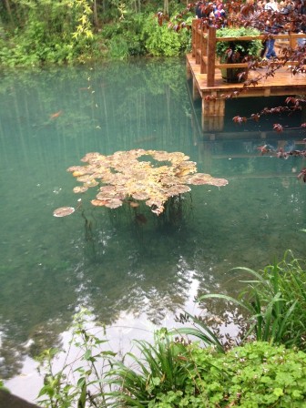Two day tour of Tianmu Lake in 2014